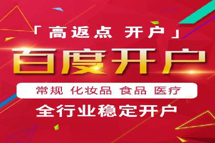 落地页在SEM优化中的重要性及成功案例